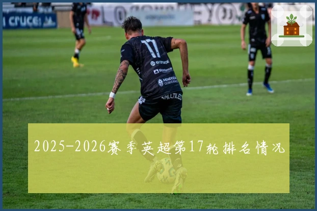2025-2026赛季英超第17轮排名情况